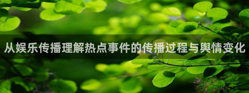 热门网络话题
