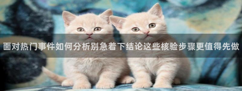 热门资讯动态