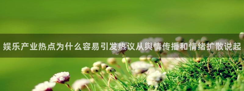 网络热门事件