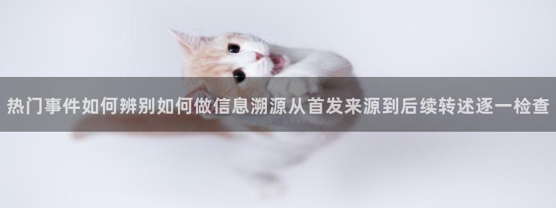热点资讯动态