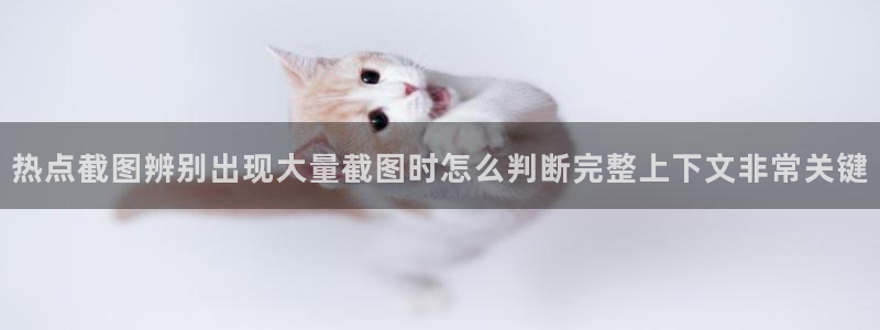 事件爆料动态